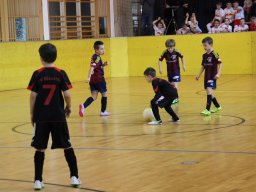 mini-IMG_5401
